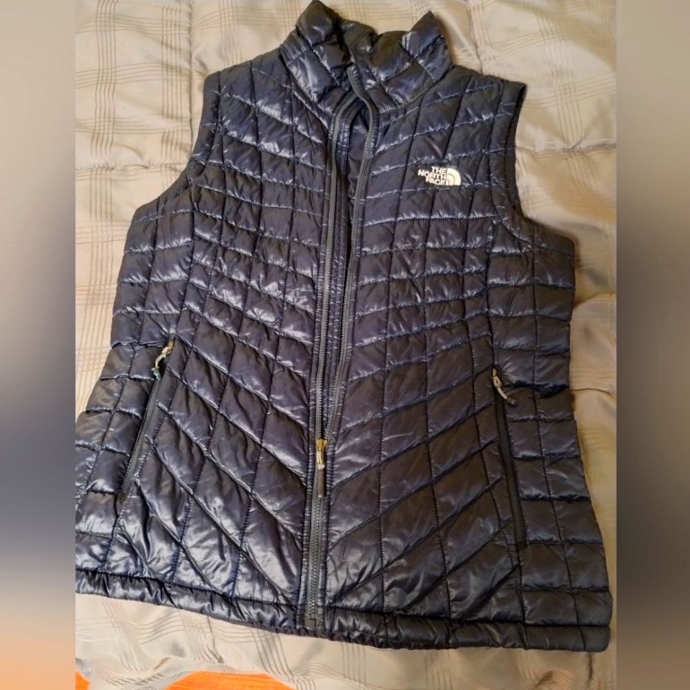The north face down vest